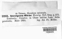 Image Associated With the Occurence